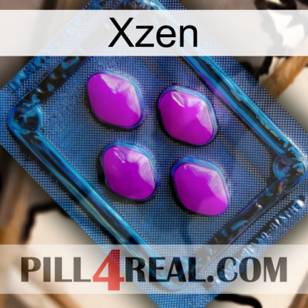 Xzen 04